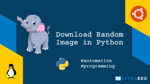 Download Random Image in Python